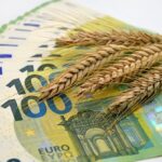 Euros con espigas encima